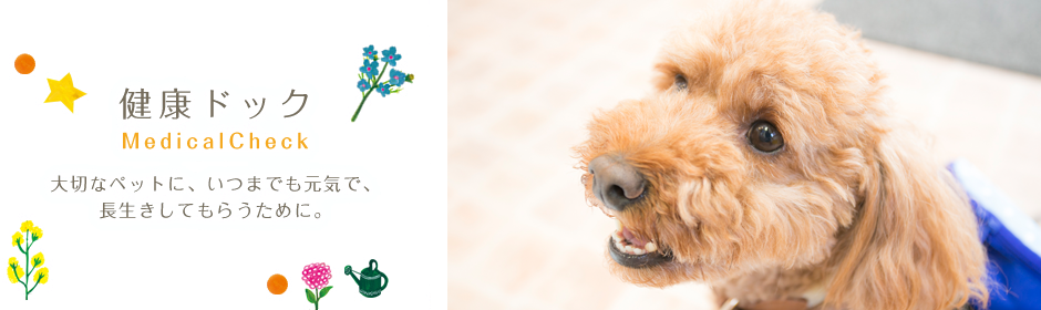 健康ドック