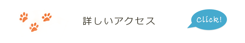 詳しいアクセス