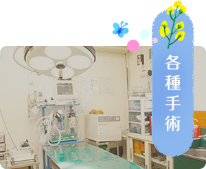 避妊 去勢手術