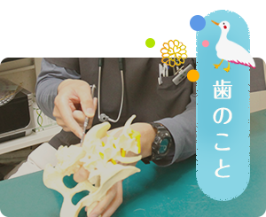 歯のこと