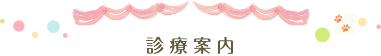 診療案内