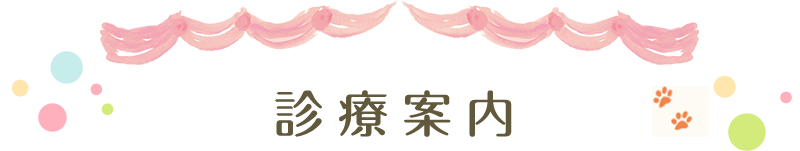診療案内