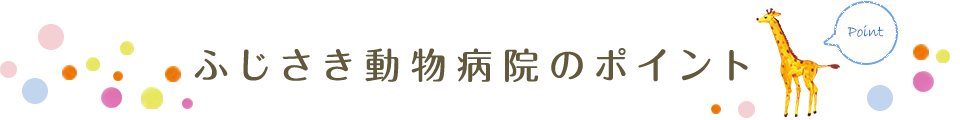 ふじさき動物病院のポイント