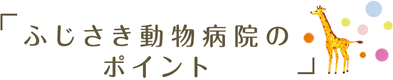 ふじさき動物病院のポイント
